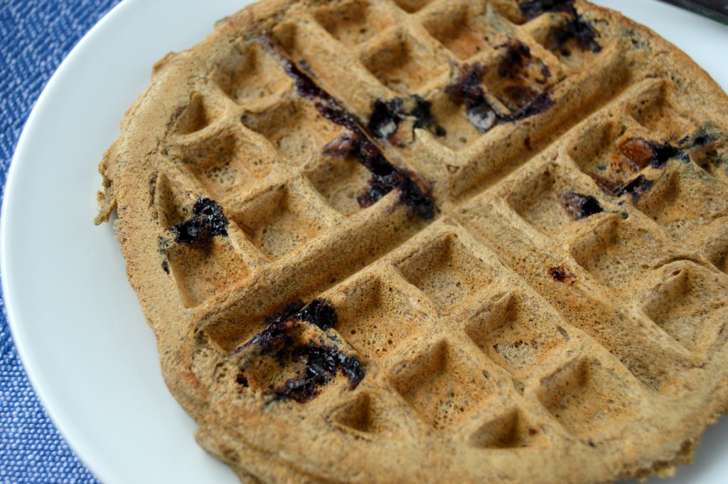 blueberry coconut waffle 4