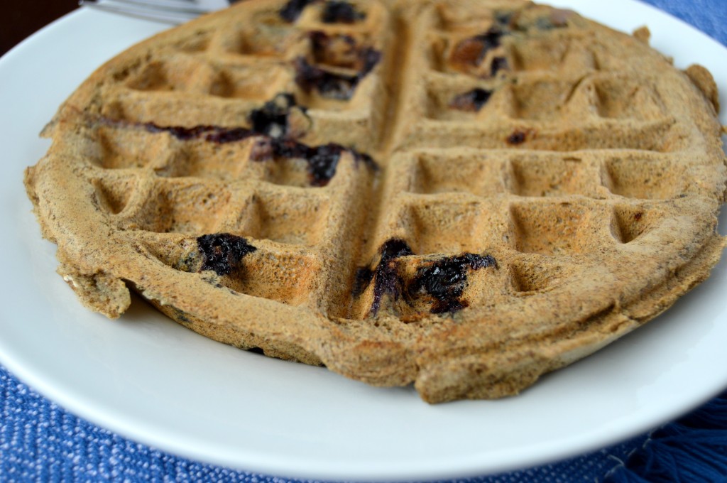 blueberry coconut waffle 6