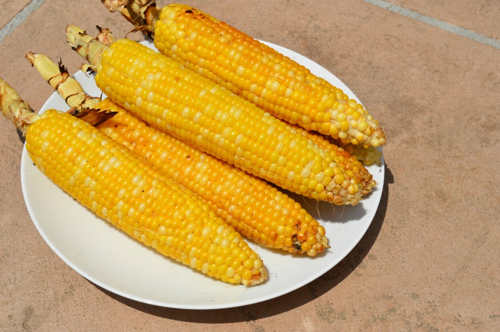 corn