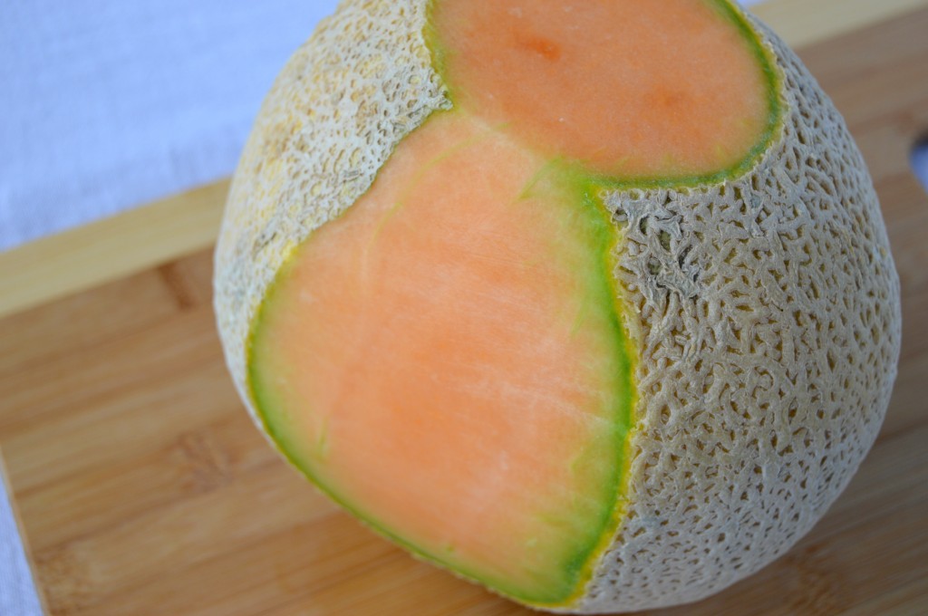 cantaloupe 6