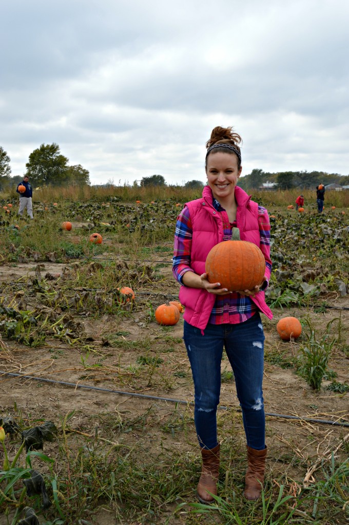 pumpkin patch 10