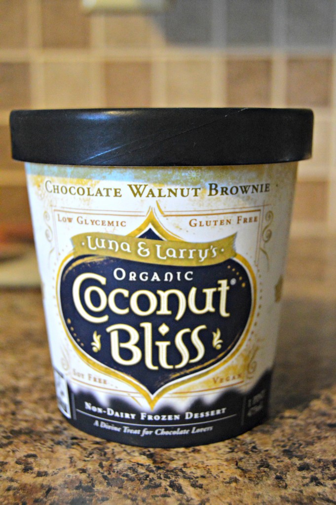 Coconut Bliss Ice Cream