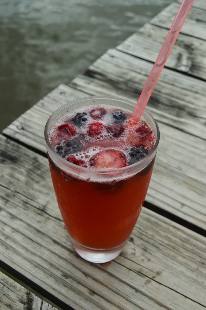 sparkling_berry_kombucha_spritzer 4