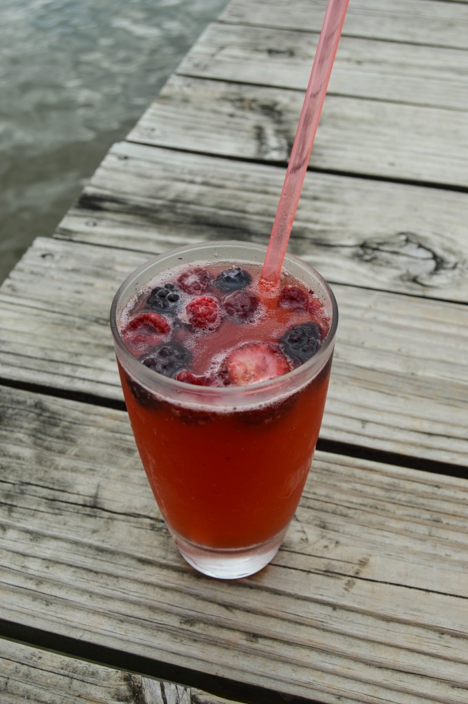 sparkling_berry_kombucha_spritzer 8