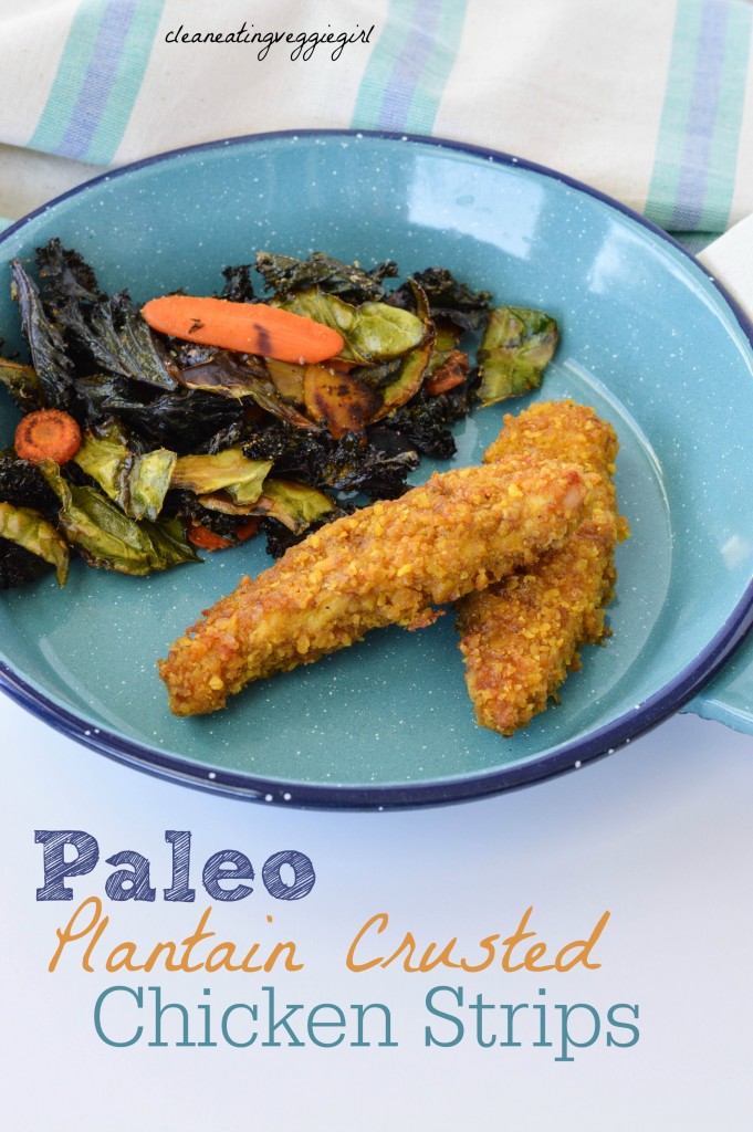 Plantain_Chip_Paleo_Chicken_Strips 5 graphic