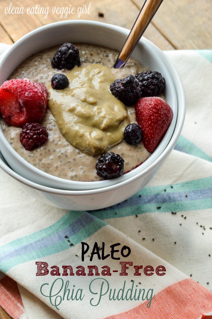 Paleo Banana-Free Chia Pudding {Gluten-Free, Grain-Free, Dairy-Free, Nightshade-Free, Nut-Free} | cleaneatingveggiegirl.com