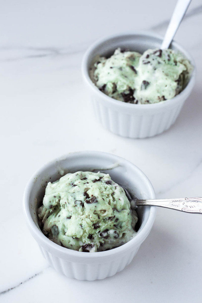 The Best Paleo Ice Cream Recipes {gluten-free, grain-free, dairy-free} | cleaneatingveggiegirl.com